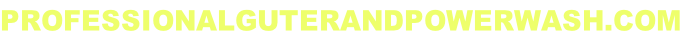 PROFESSIONALGUTERANDPOWERWASH.COM