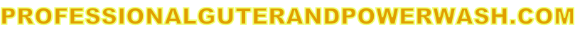 PROFESSIONALGUTERANDPOWERWASH.COM